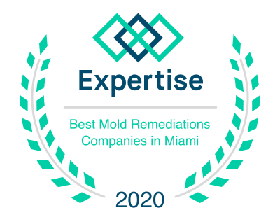New Advanced Mold Prevention Product Line Launched by Miami Mold  Specialists - Send2Press Newswire
